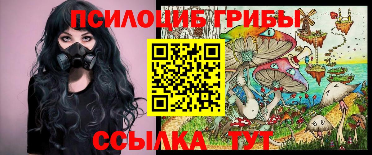 Галлюциногенные грибы мицелий Корсаков