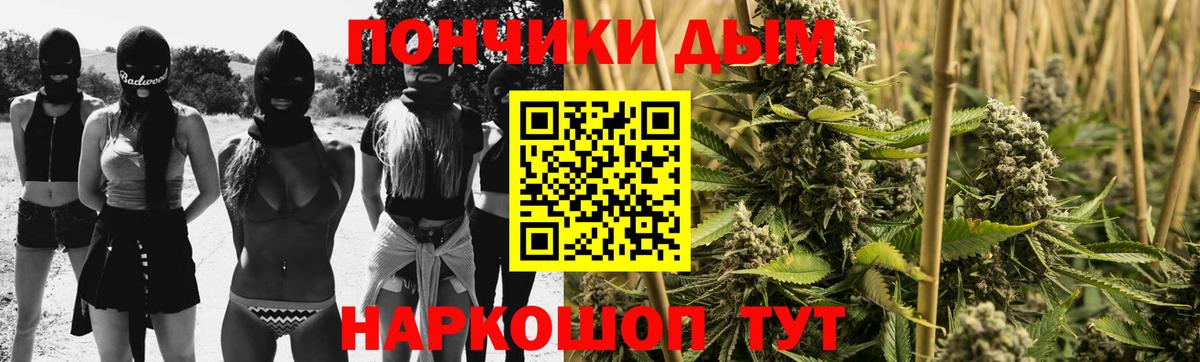 Бошки марихуана гибрид Корсаков